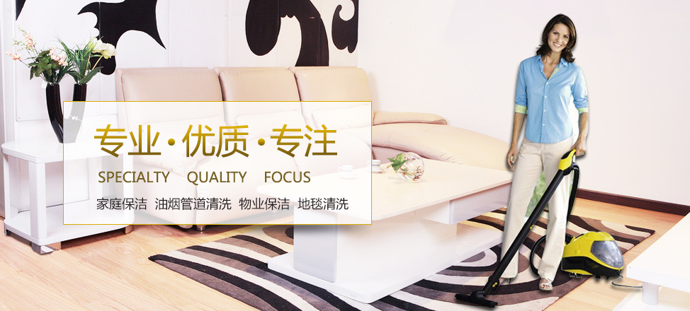 新能源汽车排行榜前十名
